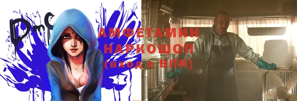 гашик Алексеевка