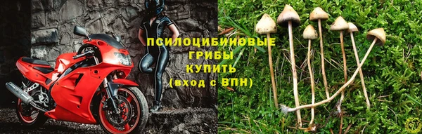 гашик Алексеевка