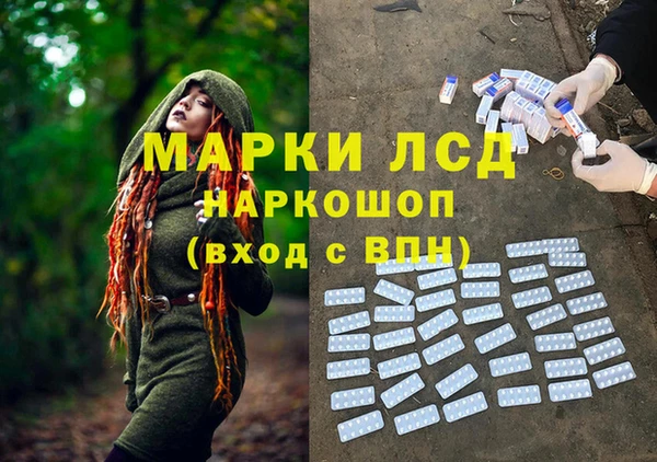 гашик Алексеевка