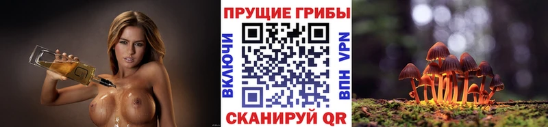 Галлюциногенные грибы Psilocybine cubensis  Балашиха 